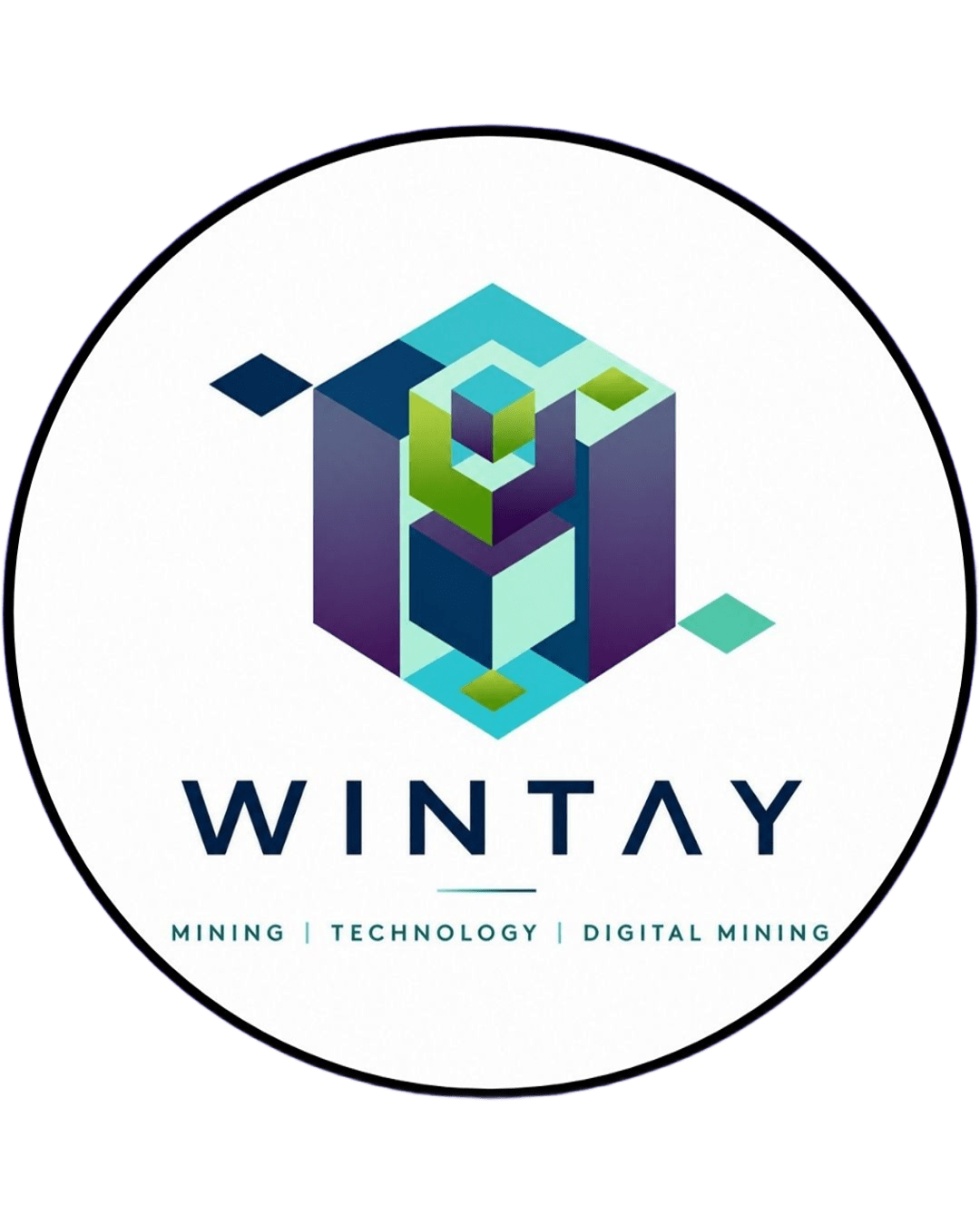 MINTWAY Logo